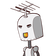 guest